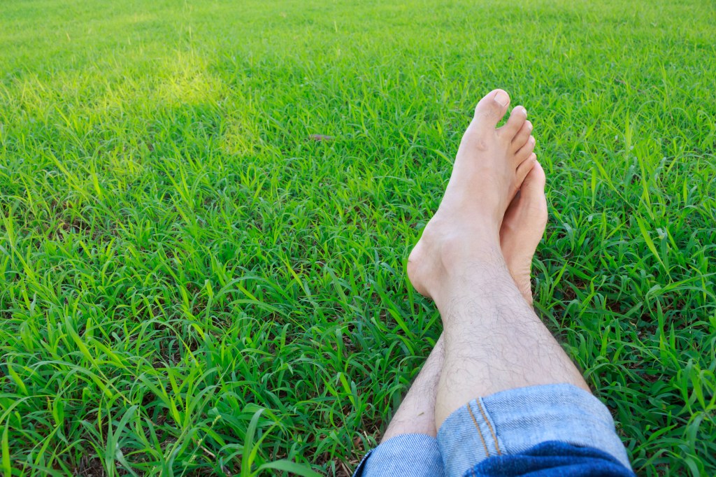 Bare feet in the grass
