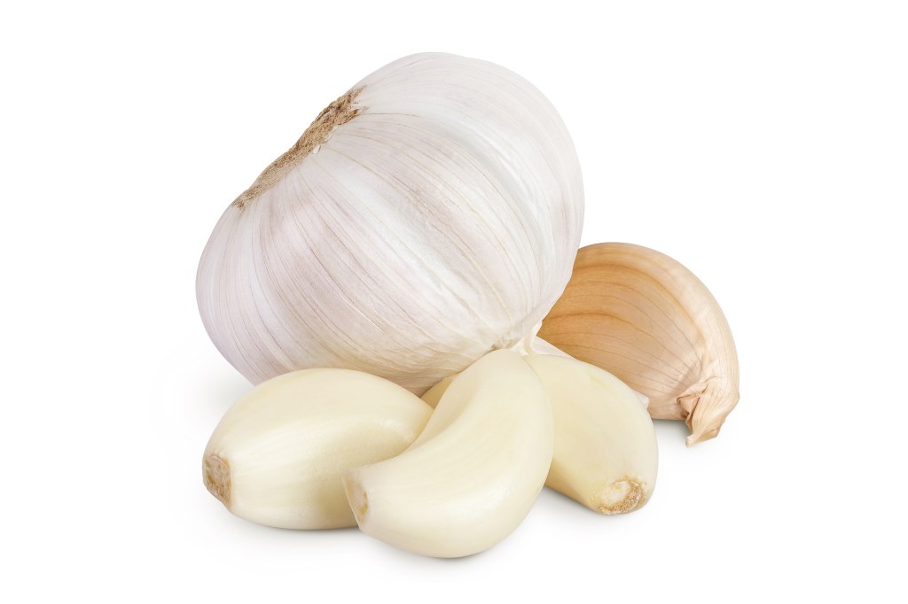 Fresh garlic