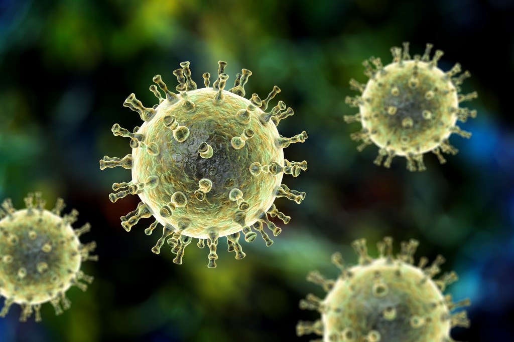 Herpes virus illustration