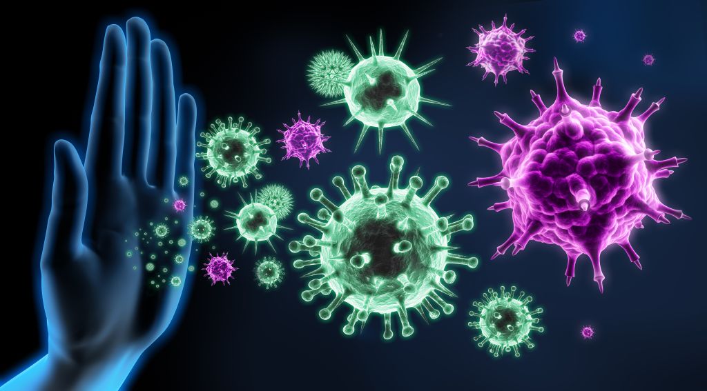Immune defenses illustration