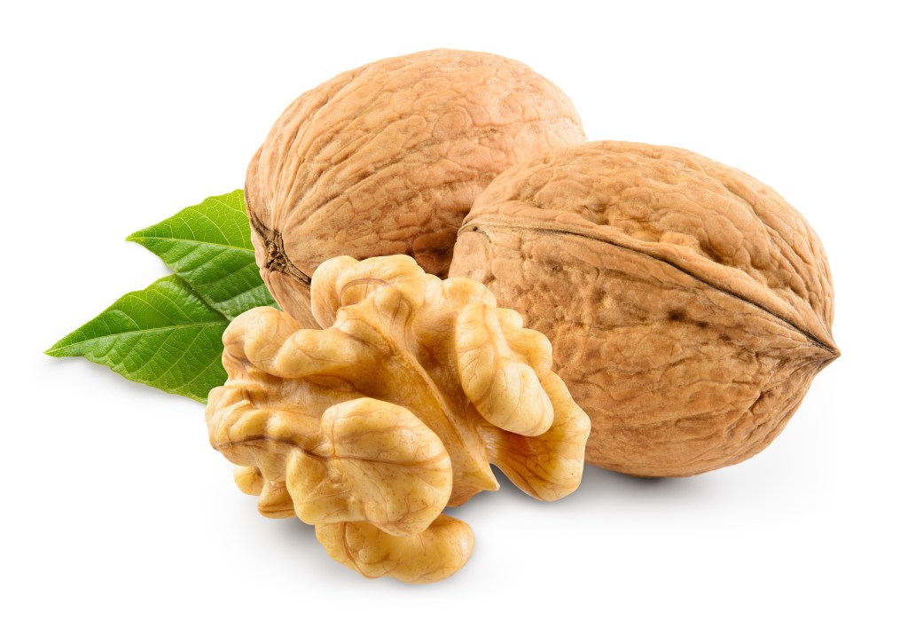 Walnut with leaf