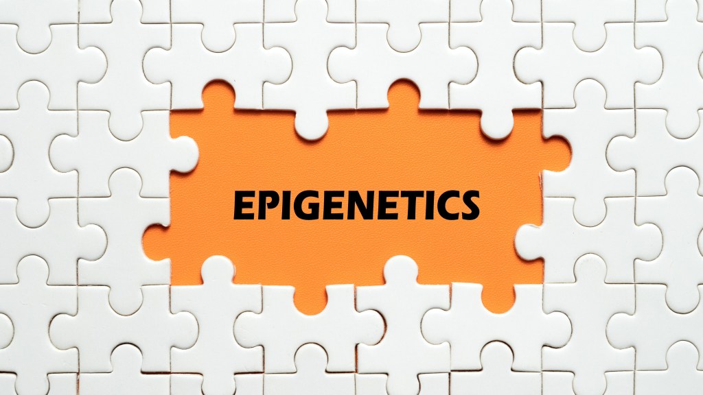 Epigenetics