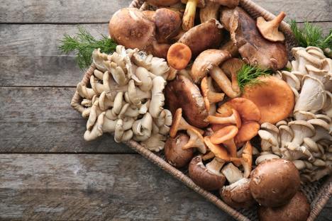 Are Mushrooms Keto-Friendly? Benefits of Mushrooms on Keto