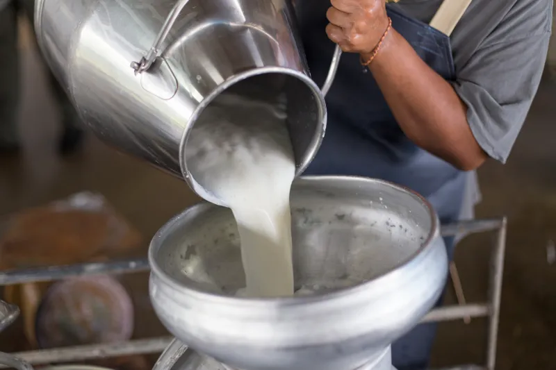 Milk poured into a container