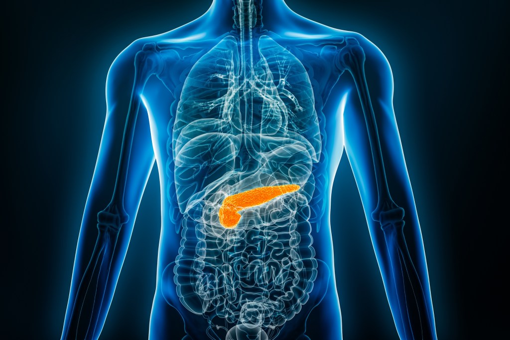 X-ray of pancreas illustration