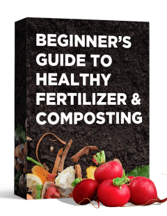 Beginner’s Guide to Healthy Fertilizer and Composting