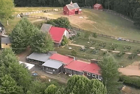 Dr. Berg’s Farm