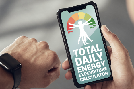 TDEE Calculator