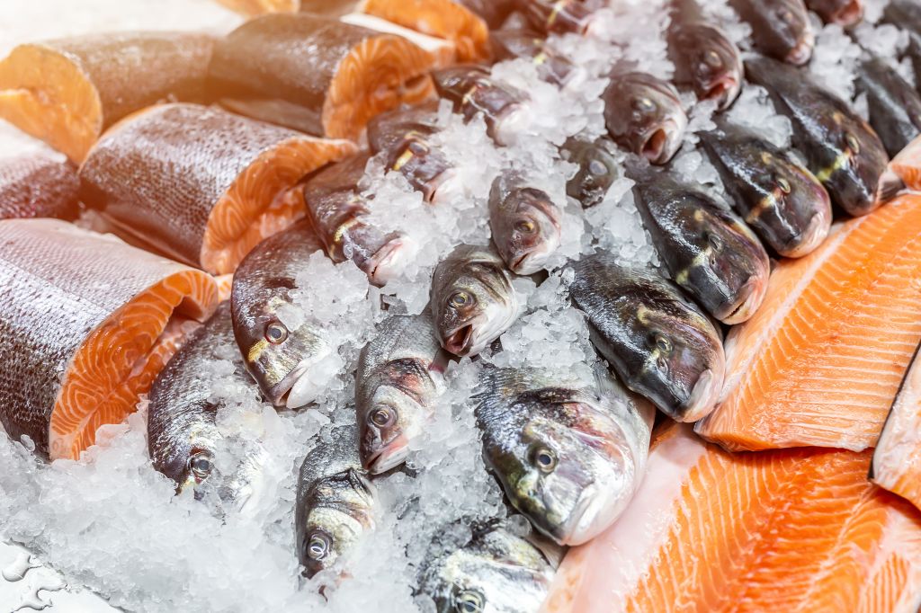 Pile of fish on ice