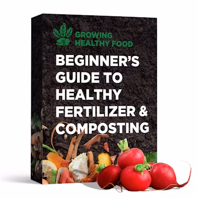 Beginner’s Guide to Healthy Fertilizer and Composting
