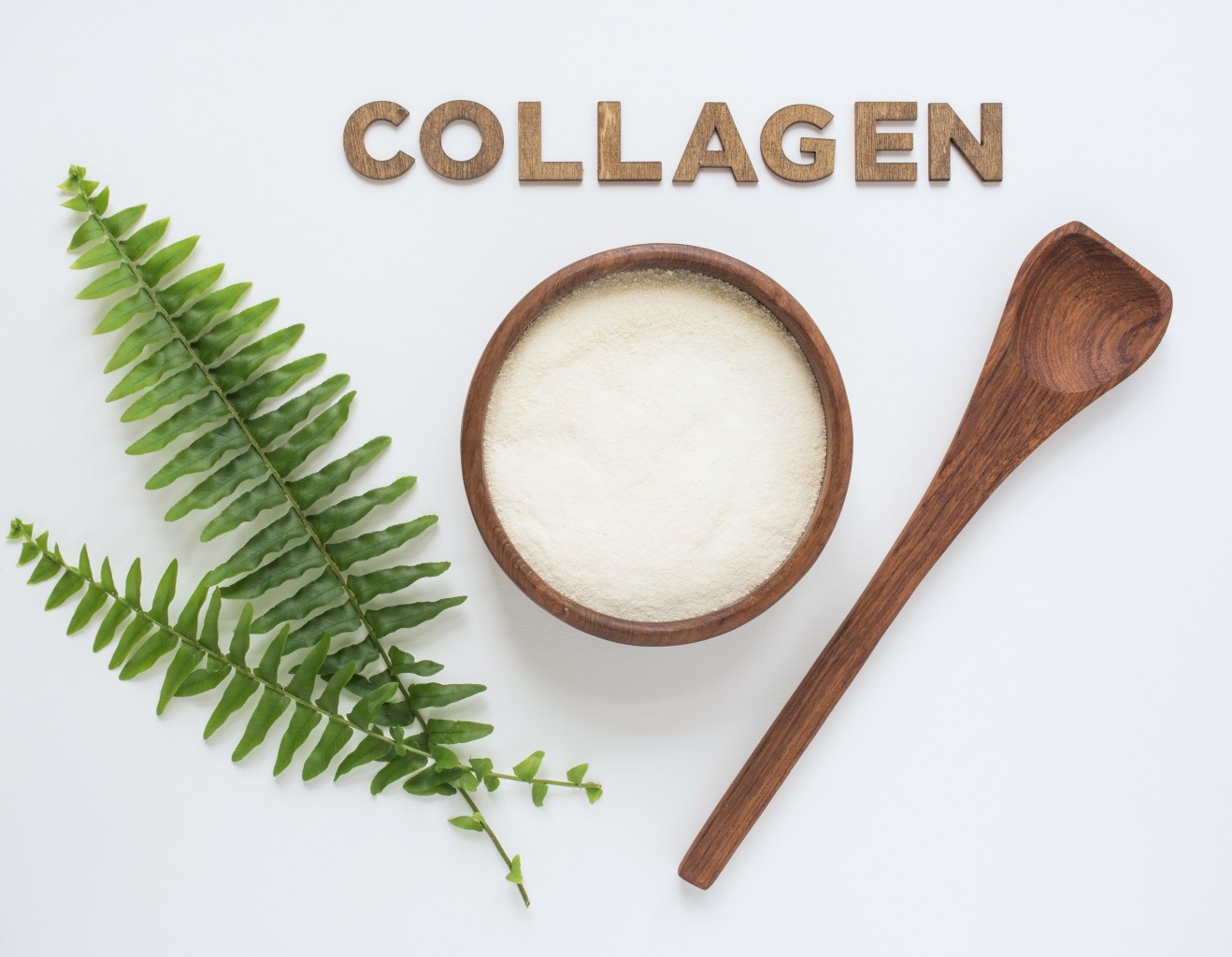 Collagen peptides in a bowl