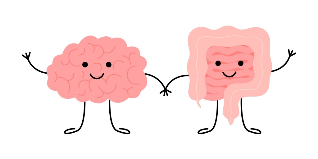 Gut-brain connection illustration