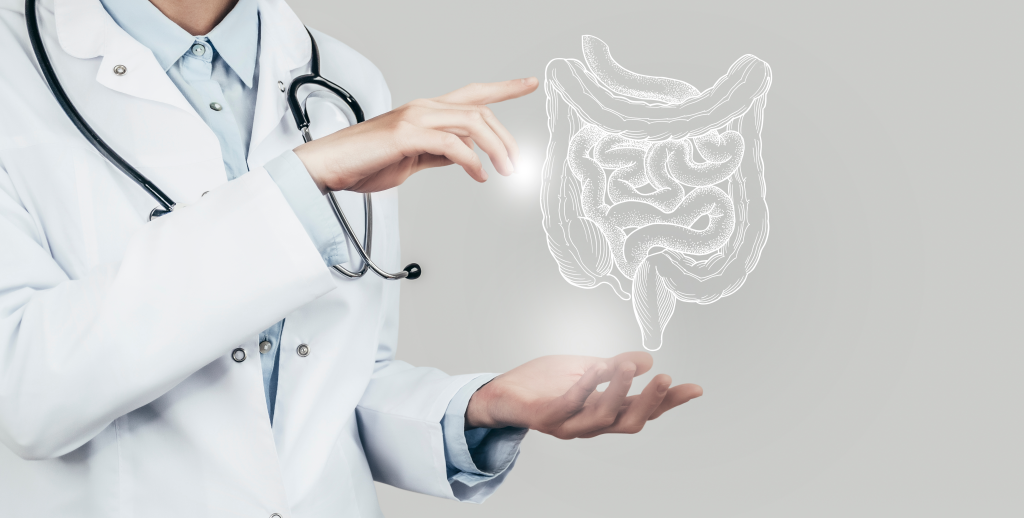 Intestinal health concept