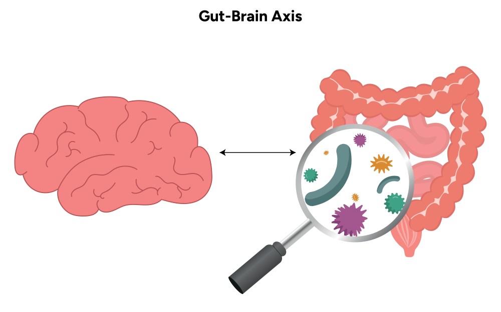 What Is the Gut-Brain Connection?