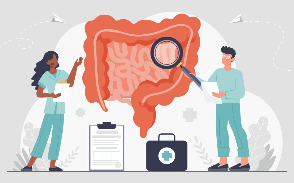 Gut Health 101: Everything You Need to Know