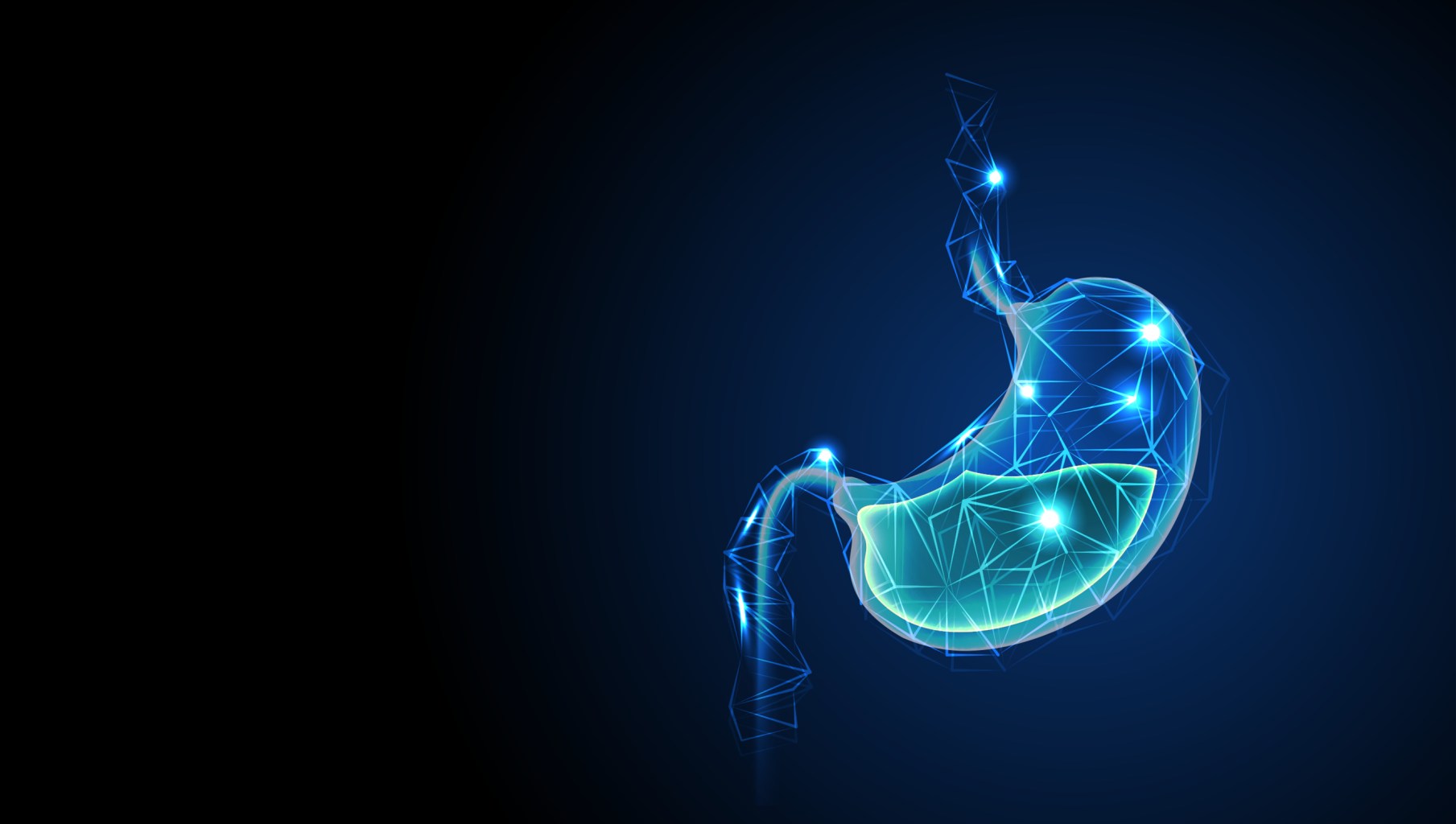 Stomach acid illustration 