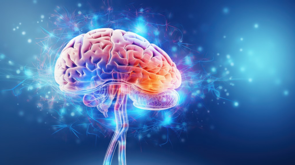 Brain illustration