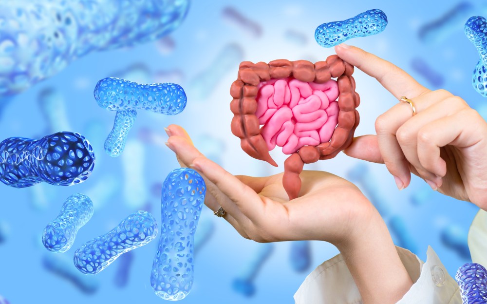 Prebiotics vs. Probiotics: What’s the Difference?