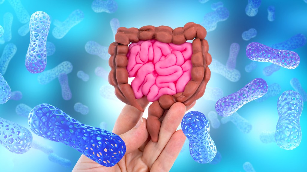 Gut health concept