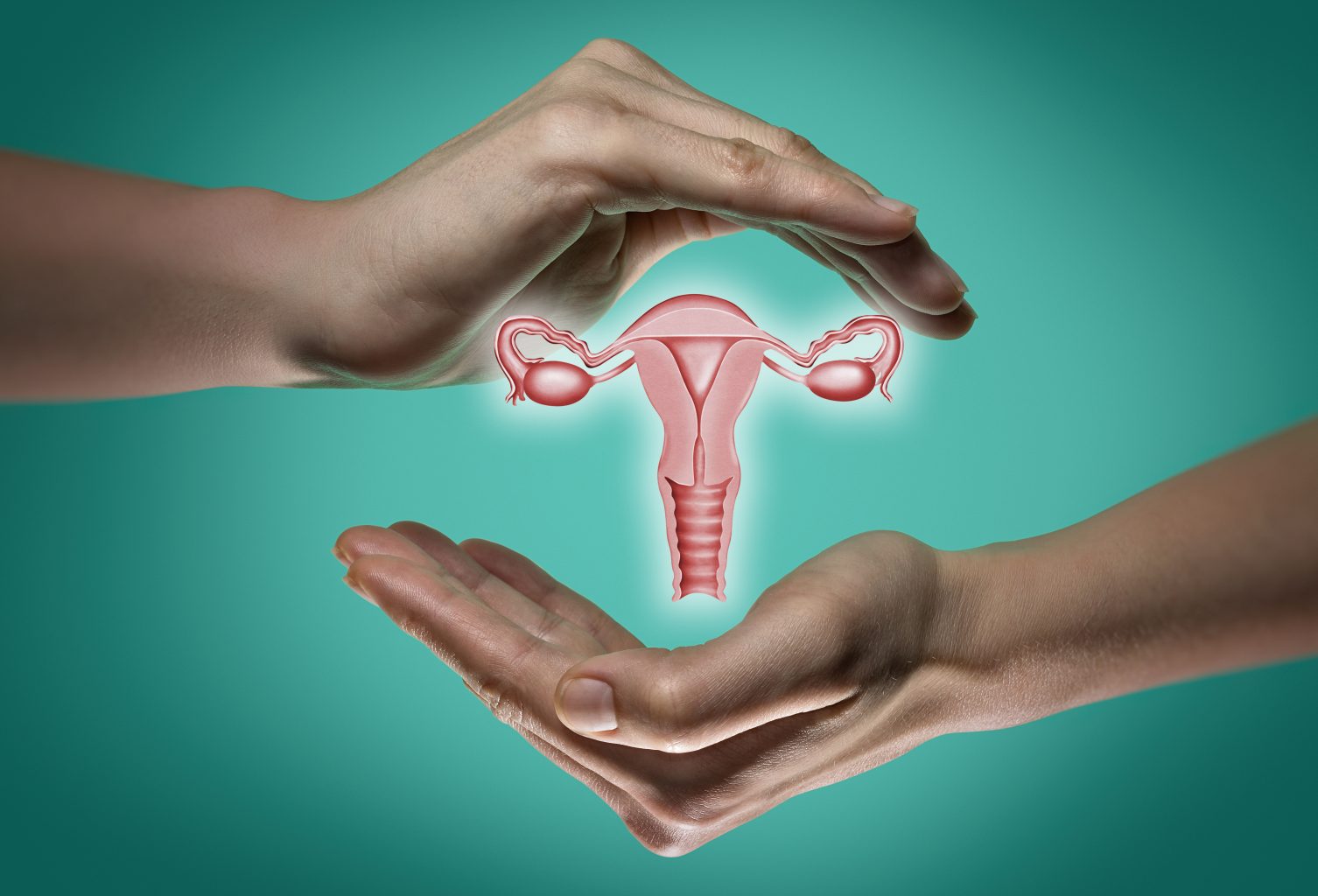 Female reproductive system   