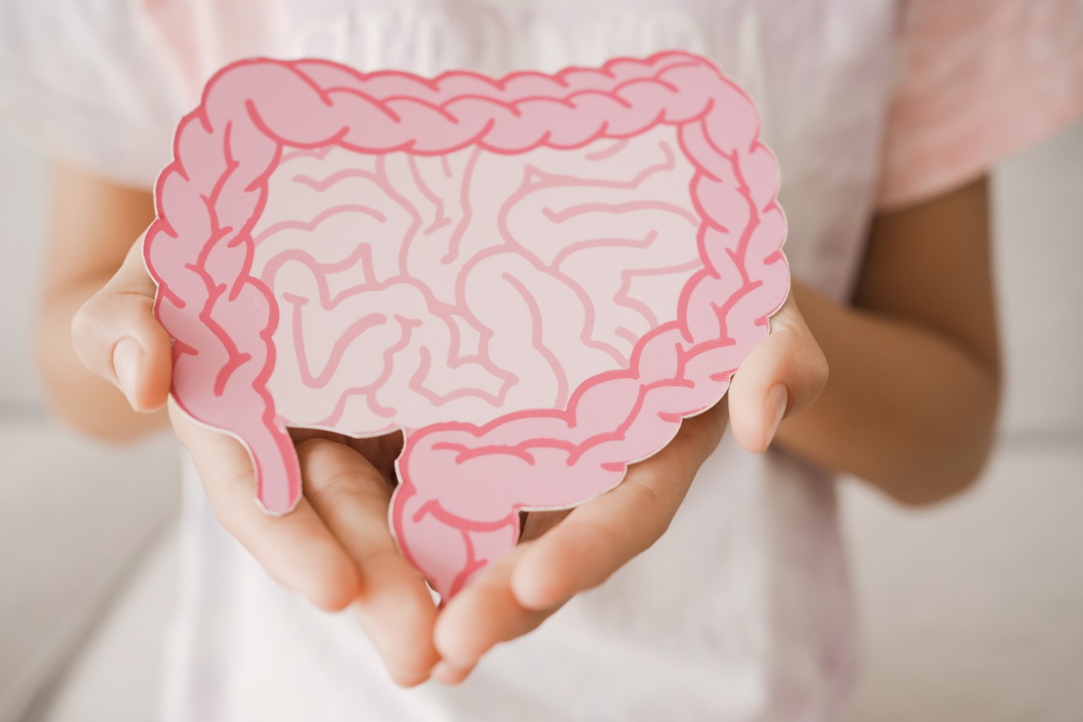 A healthy gut