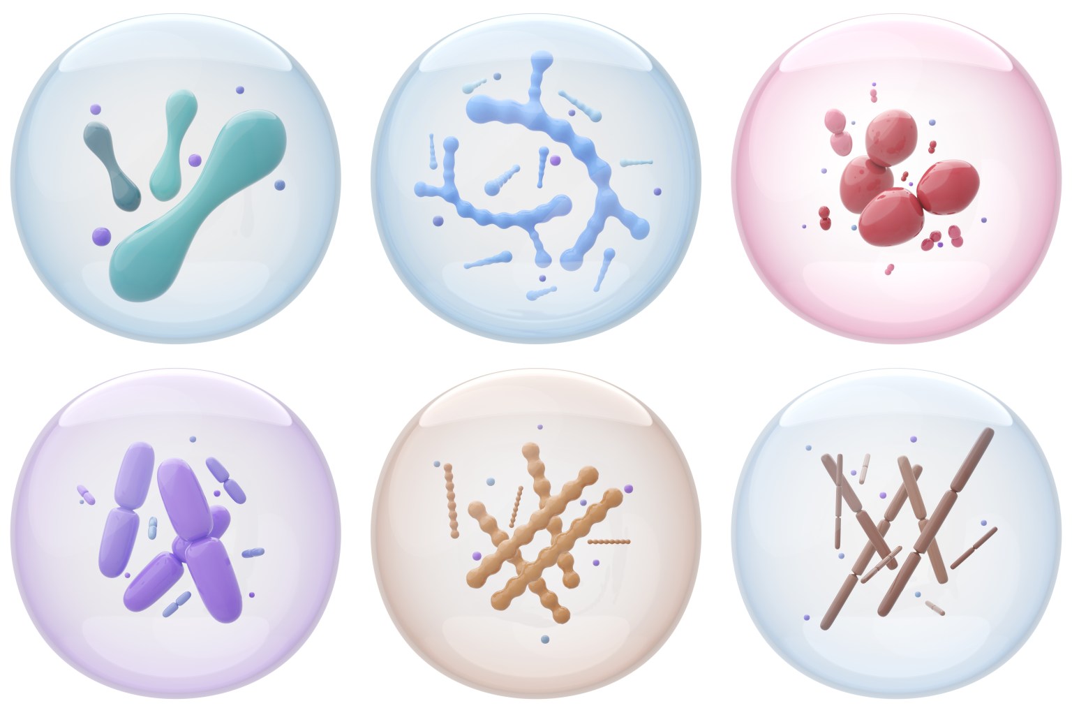 Various probiotic strains  