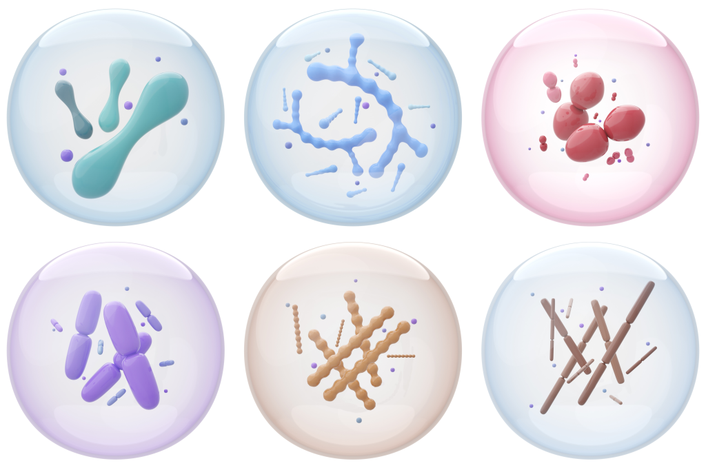 Various probiotic strains
