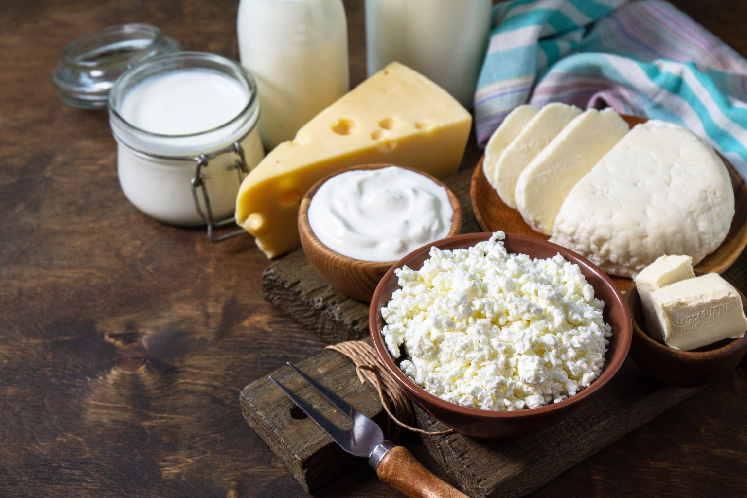 Probiotic dairy foods 