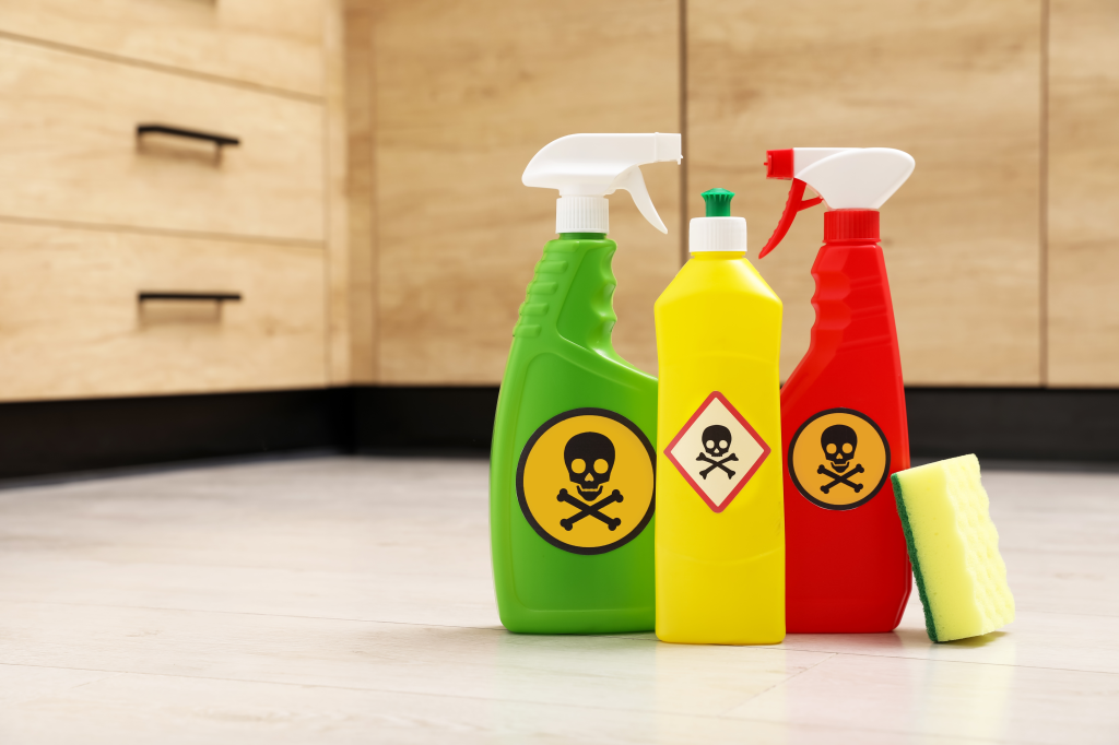 Household toxins endocrine disrupting products