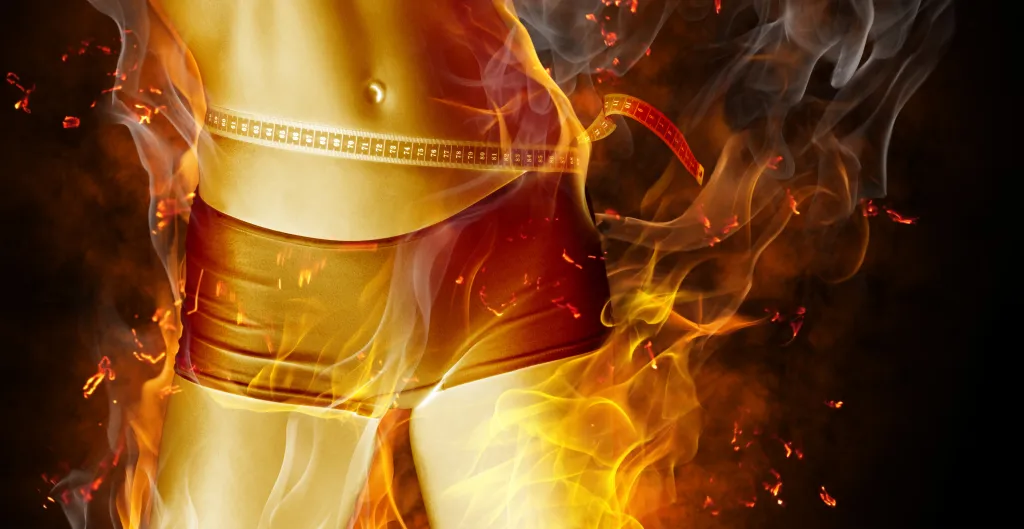 Fat-burning concept