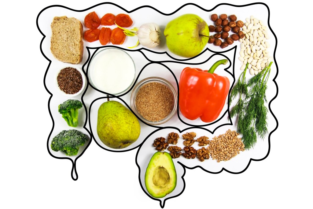 Foods for a healthy gut