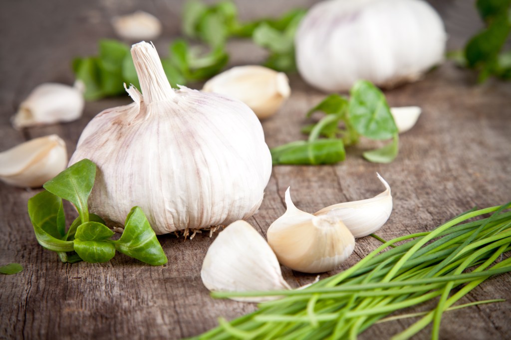 Fresh garlic and herbs