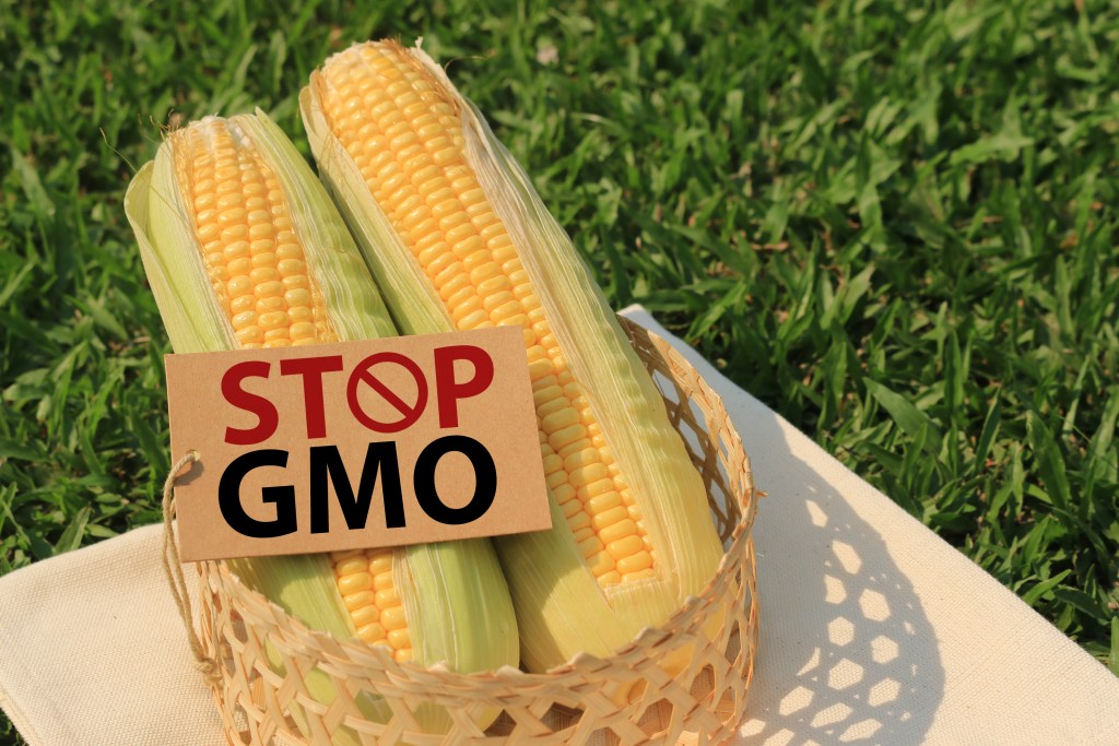 no genetically modified foods