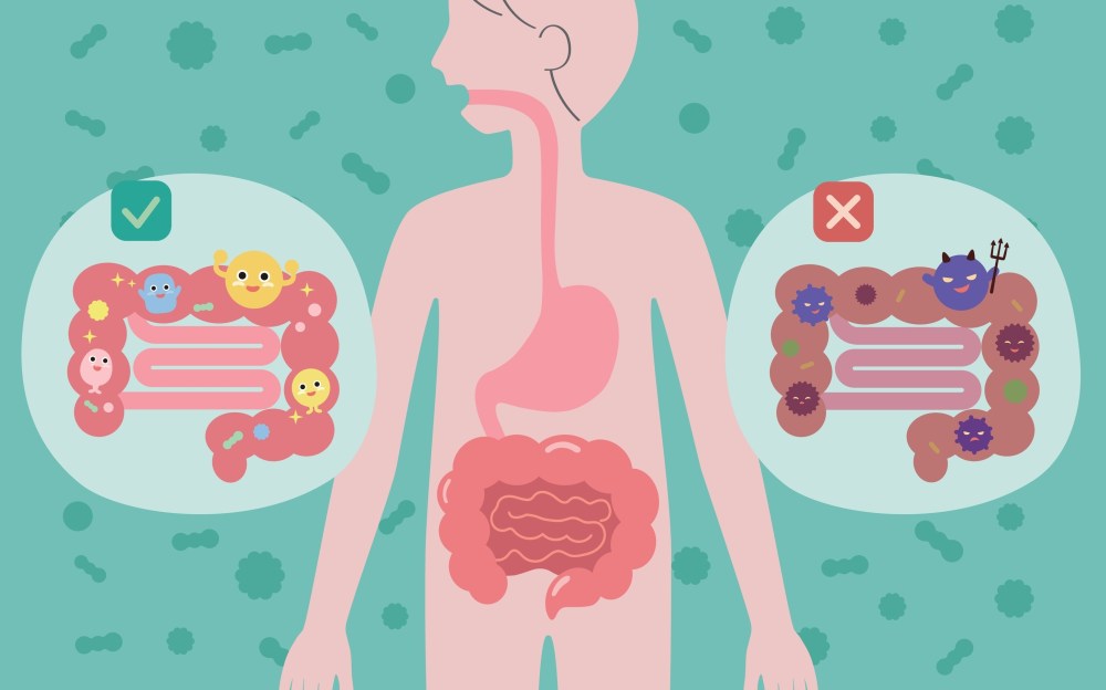 What Are the Worst Foods for Gut Health?