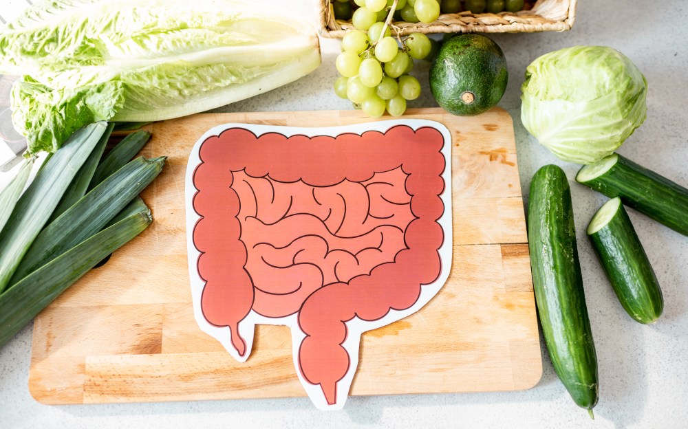 What Are the Best Foods for Gut Health?