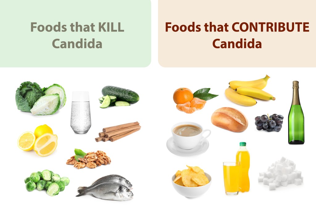 Candida diet foods