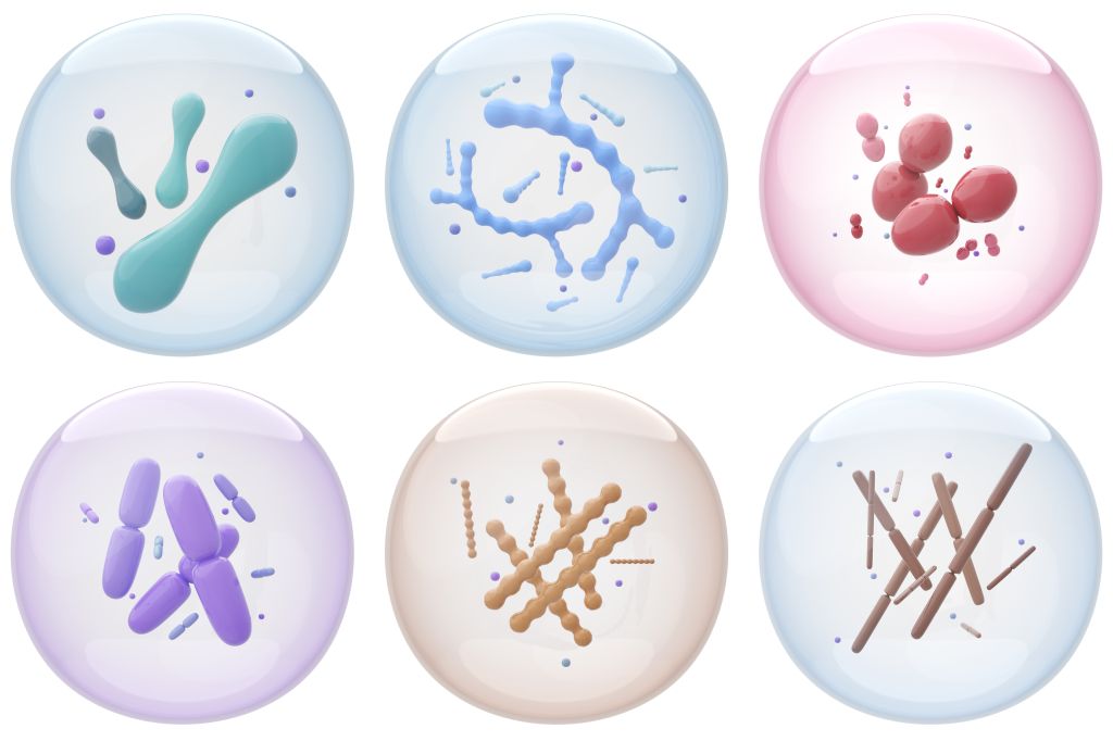 Probiotic strains