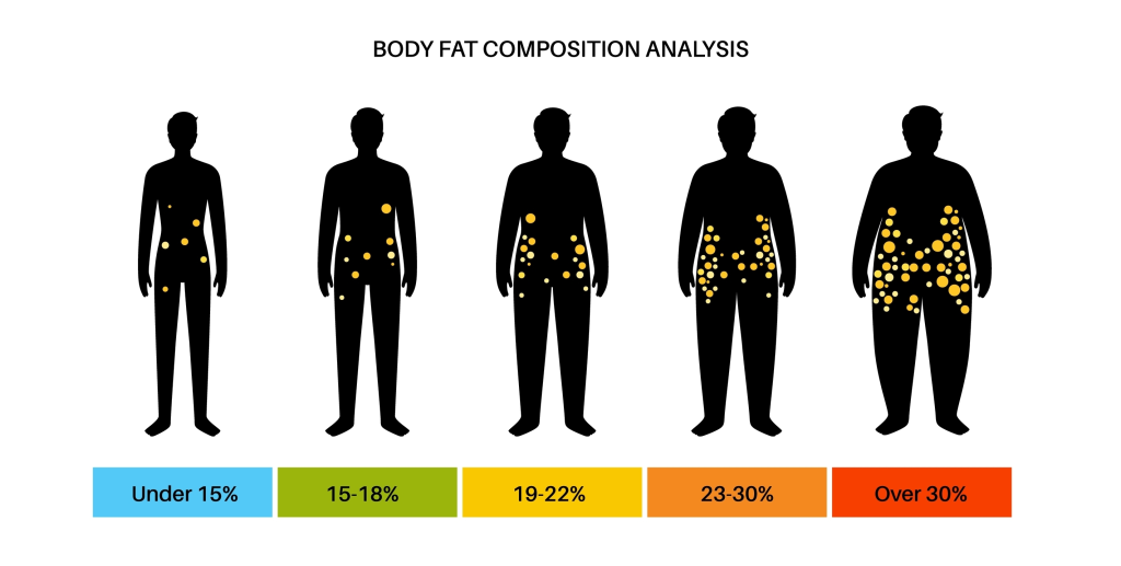 Fat mass concept