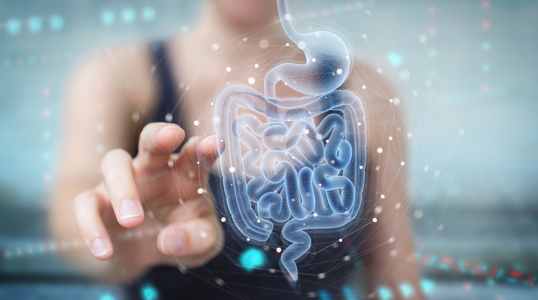 Gut health concept  