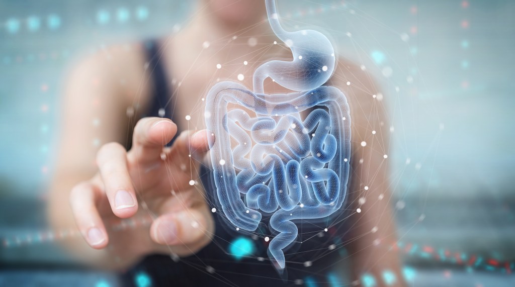 Gut health concept