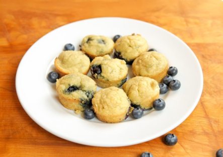Keto Blueberry Mini Muffin Bites