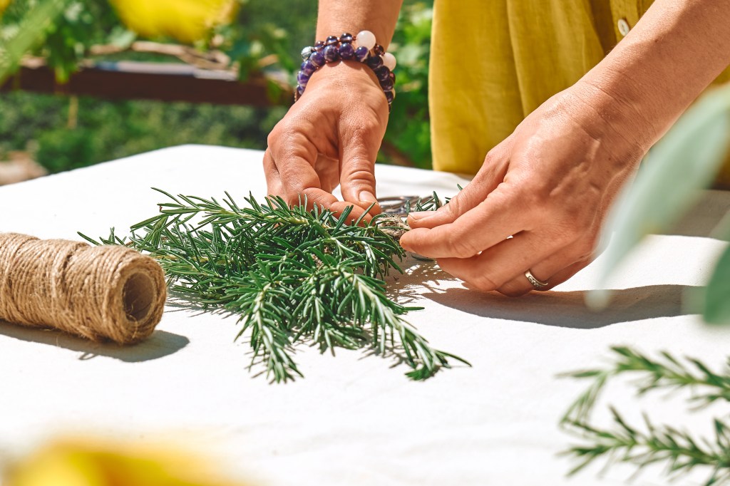 Fresh rosemary being gathered and tied into a bundle on a table Herbs for Sciatica