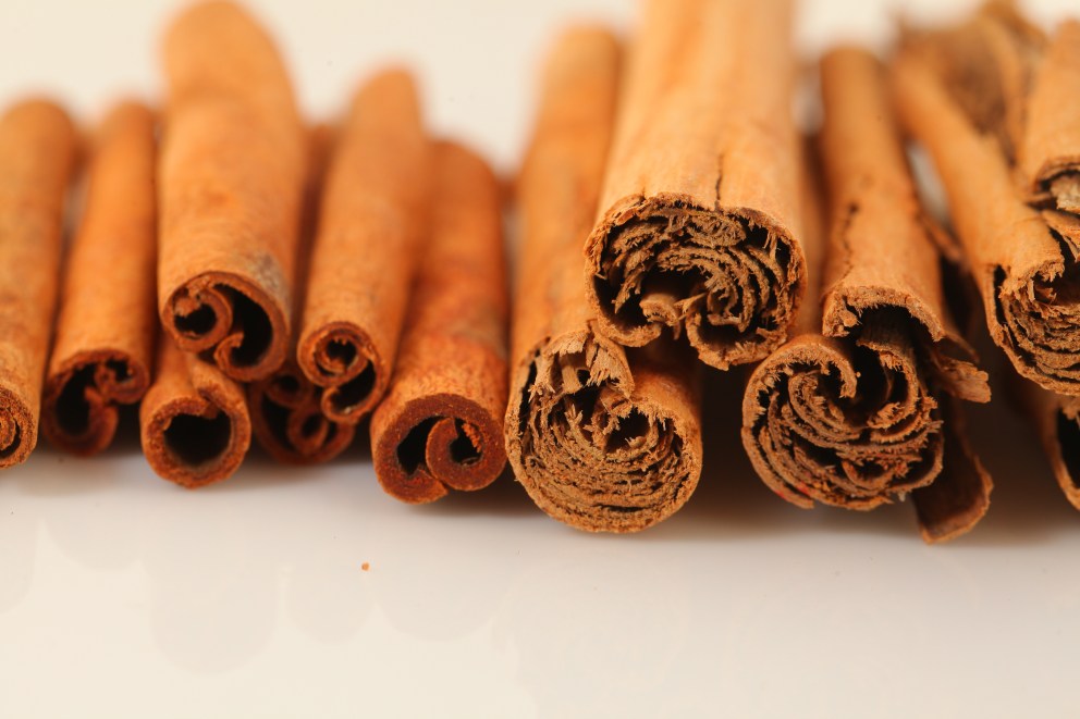 Ceylon Cinnamon vs. Cassia Cinnamon: Which Is Better?