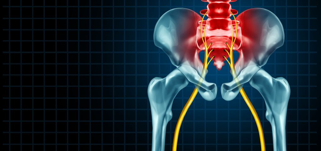 sciatic nerves