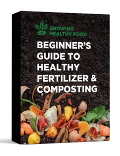 Beginner's Guide to Healthy Fertilizer and Composting