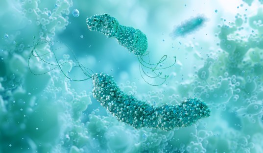 6 Natural Remedies for H. Pylori