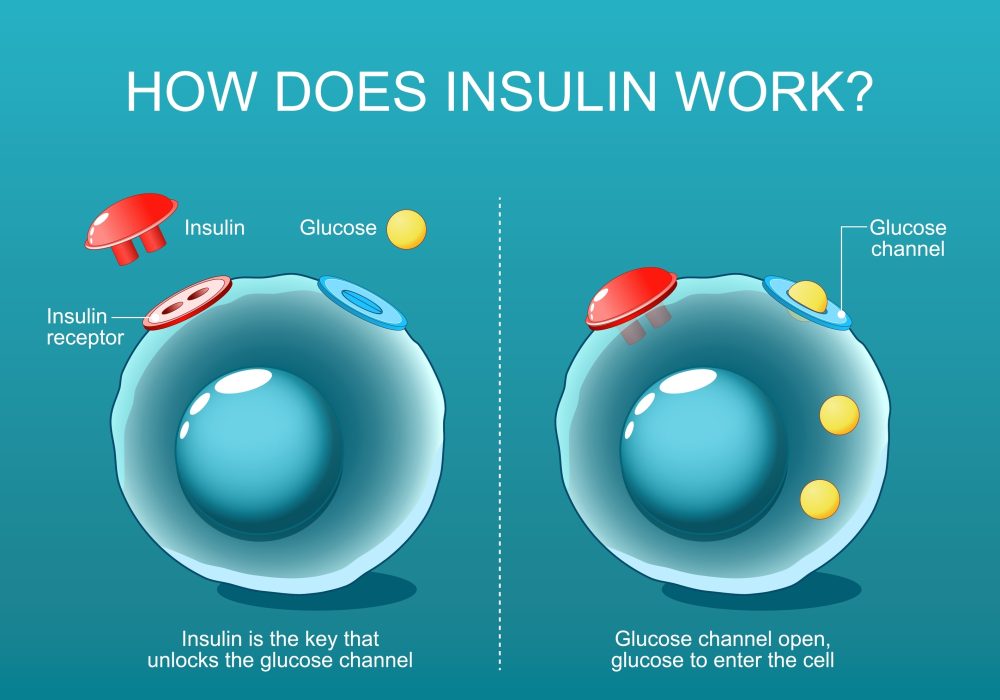 Insulin concept