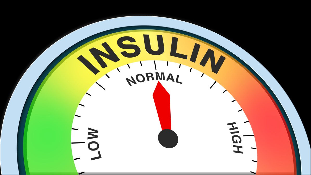 Insulin Load vs. Insulin Index: What’s the Difference?