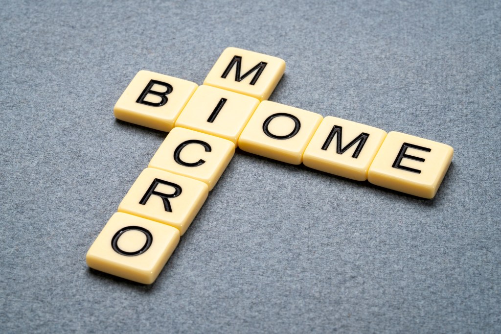 Microbiome written in blocks