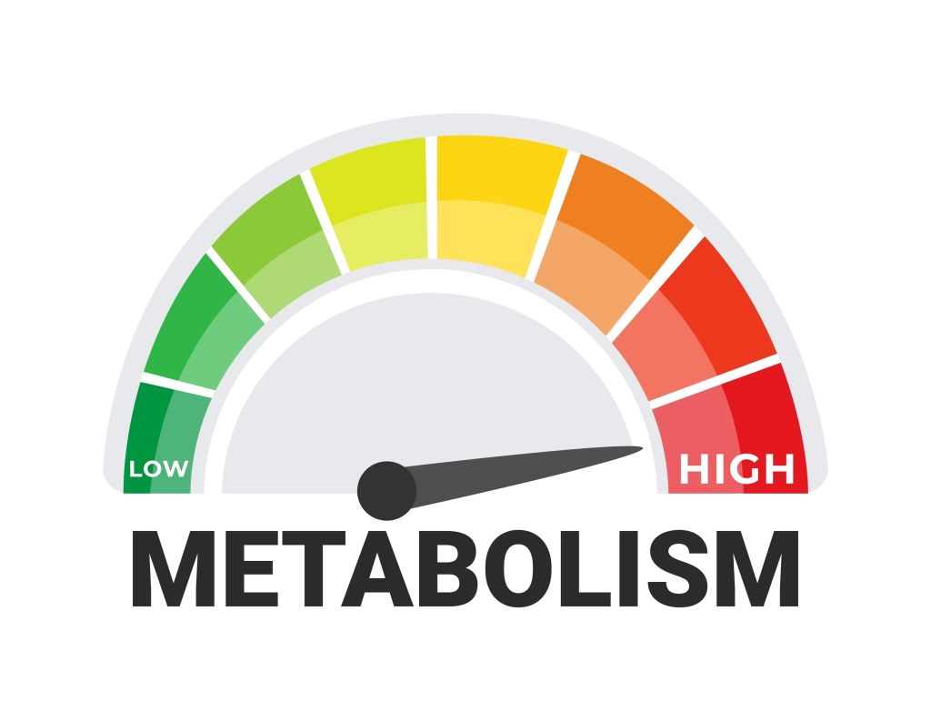 Metabolic rate concept